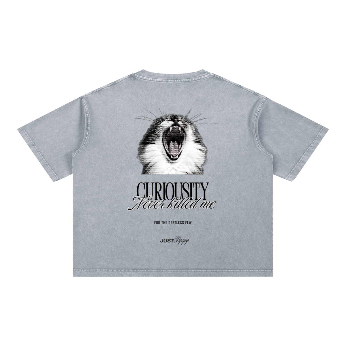 Curiocity Boxy Cotton T-Shirt